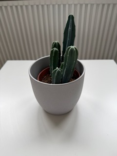 Example product photography