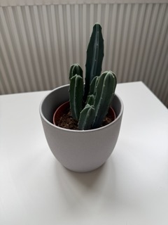 Example product photography