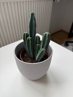 Example product photography