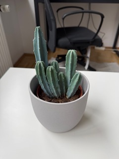 Example product photography