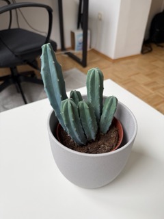 Example product photography