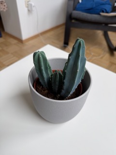 Example product photography