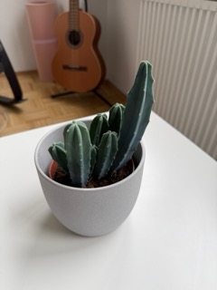 Example product photography