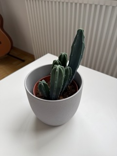 Example product photography